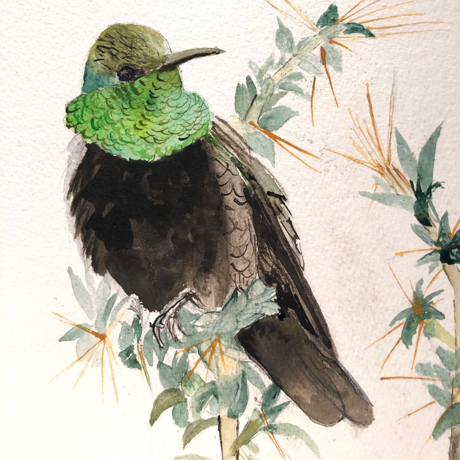 detail of 108 Hummingbirds