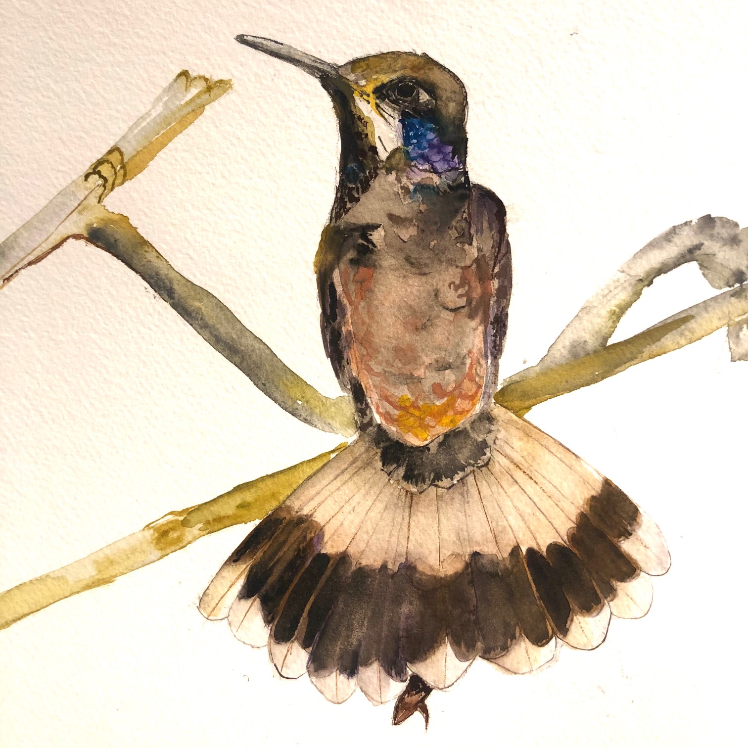 detail of 108 Hummingbirds