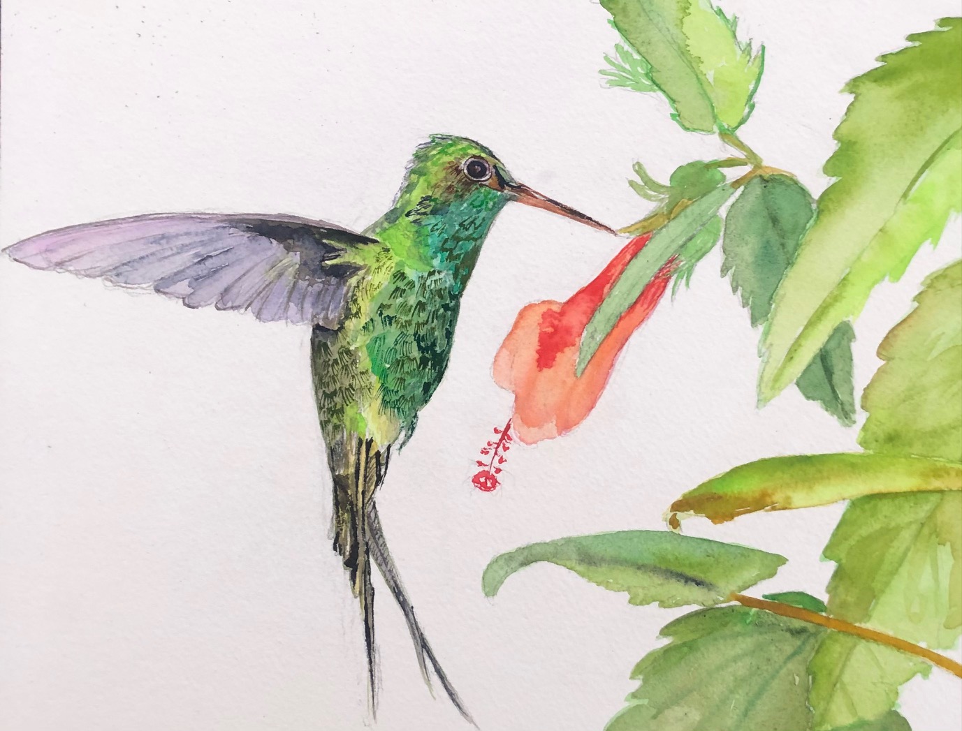detail of 108 Hummingbirds