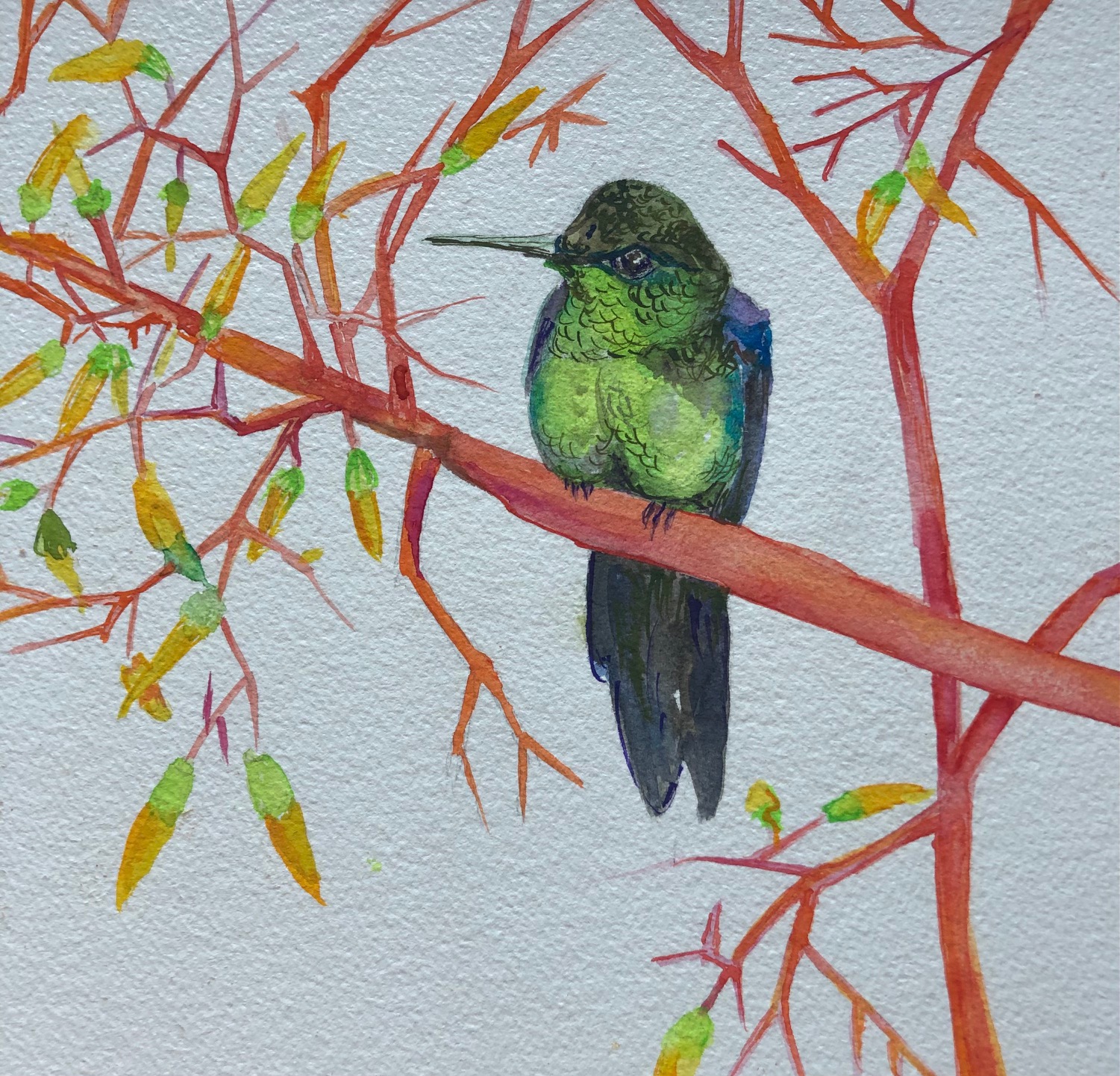 detail of 108 Hummingbirds