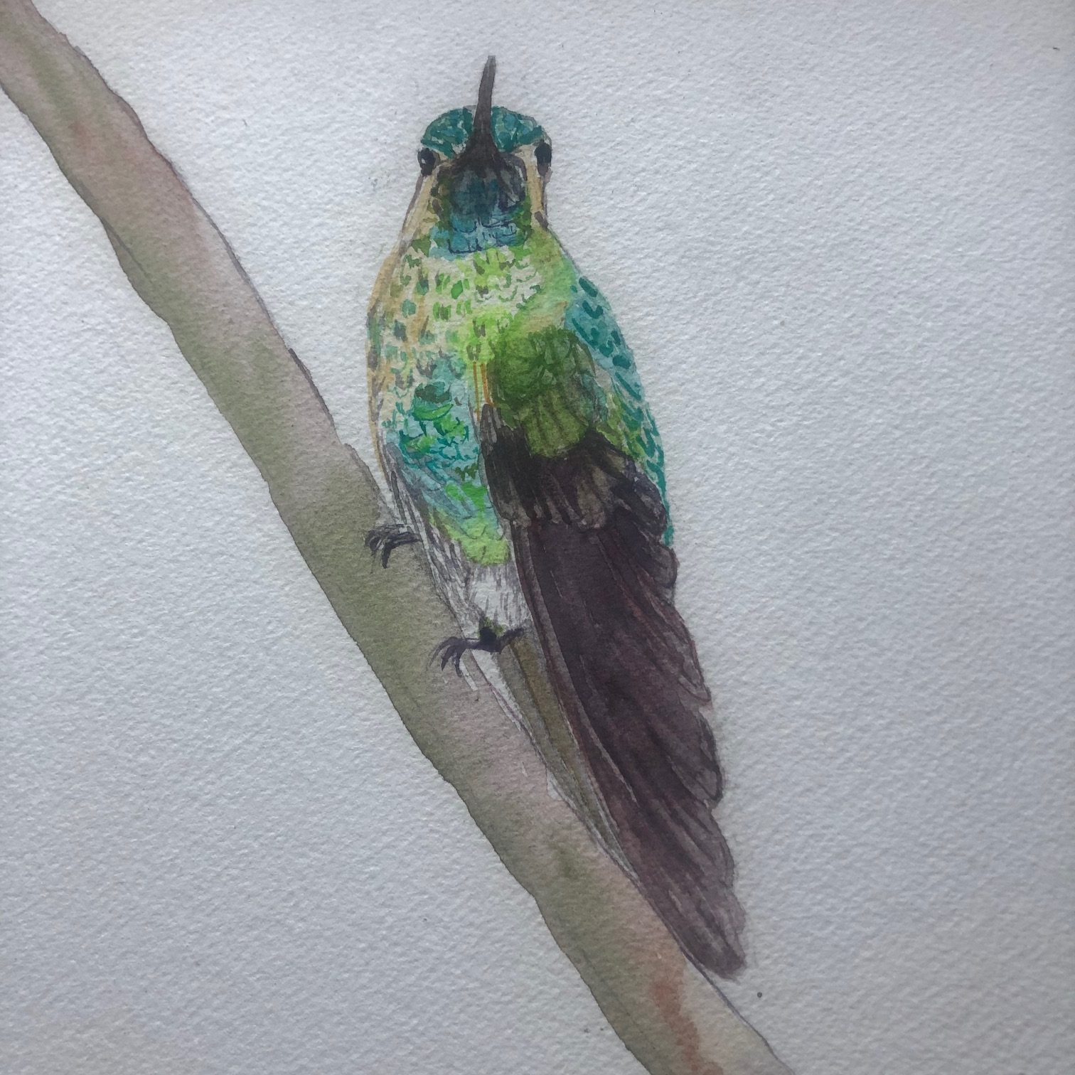 detail of 108 Hummingbirds