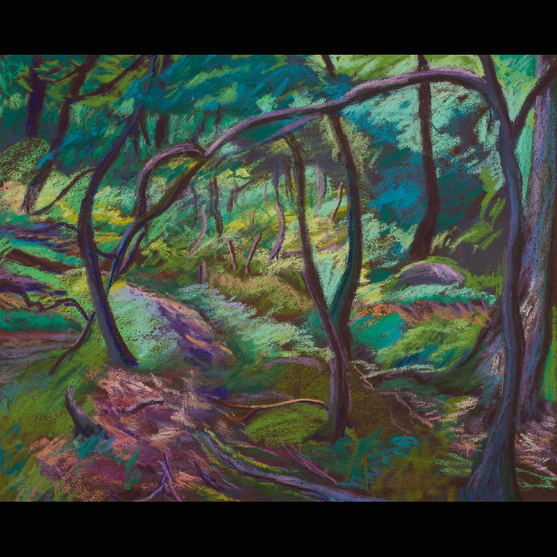 MaryAnn Ficker, Eagle Rock Woods