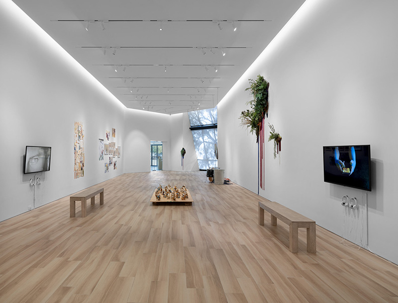 A spacious contemporary art gallery with high white walls and light wood flooring displays a variety of mixed-media works. On the left wall, video art, collages, and small assemblages are installed. On the right wall, two large hanging sculptures made of greenery and cascading red and purple materials are mounted, along with a video monitor showing a pair of hands holding an object. Two simple wooden benches sit facing each wall. In the center of the gallery, a low platform holds a grid of small sculptural objects. At the far end of the room, an angled window lets in natural light and reveals trees outside.