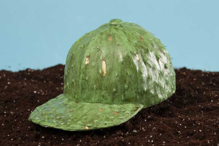 A green baseball cap sculpted to look like a cactus, complete with bumps and small patches of gold. The cap rests on dark soil against a light blue background, appearing as if it is growing from the ground.