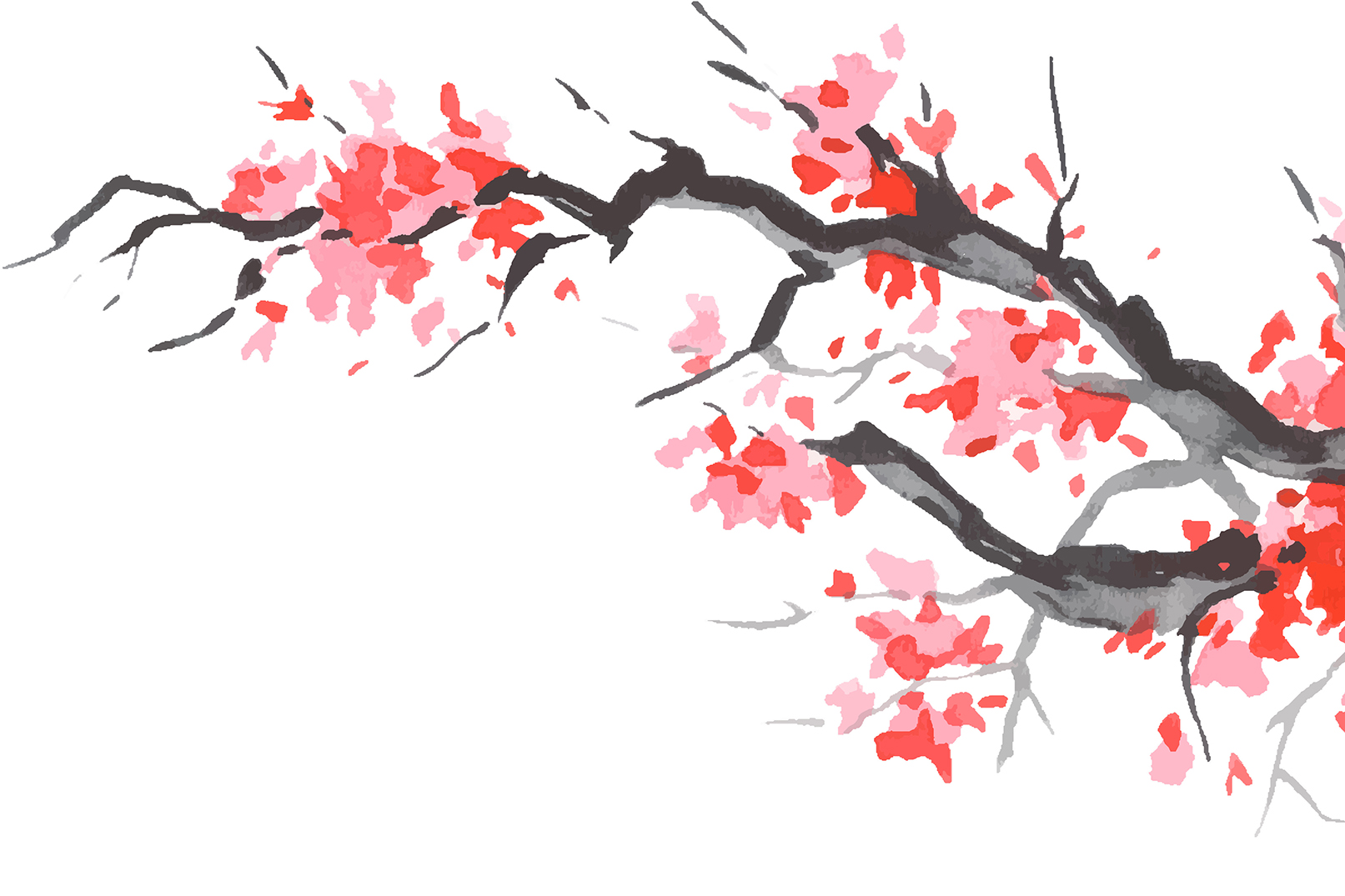Japan traditional sumi-e painting. Fuji mountain, sakura, sunset. Japan sun. Indian ink illustration. Japanese picture