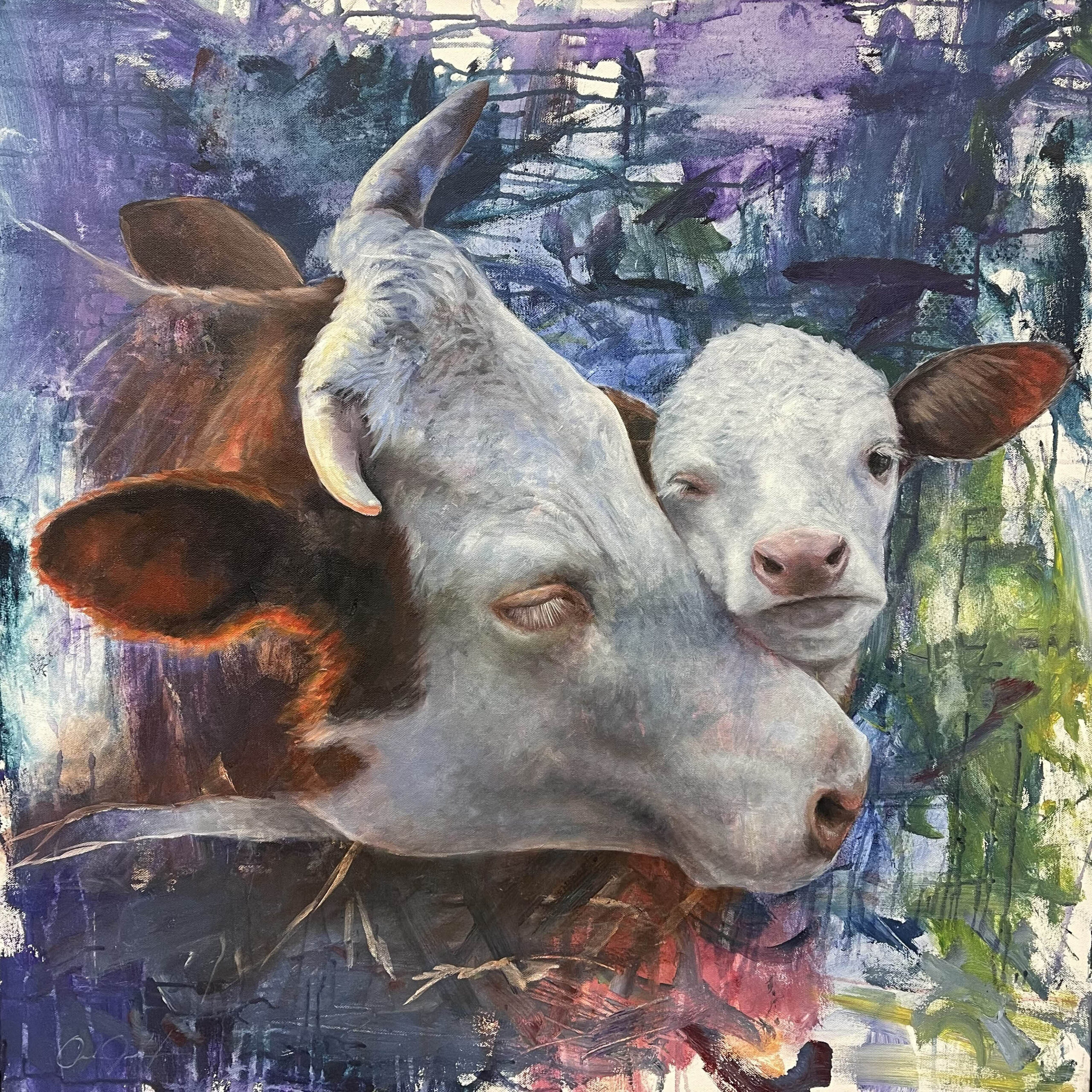 A mixed-media painting depicting two Hereford cattle — a larger horned cow and a smaller calf — rendered in realistic detail against a vibrant, gestural abstract background. The animals are painted with soft, pale faces and warm brown ears, their heads close together in a tender, companionable pose. The background bursts with expressive brushwork in purples, blues, teals, and greens, with splashes of red, pink, and yellow adding energy to the composition. The contrast between the carefully rendered animals and the loose, painterly backdrop creates a dynamic tension between calm and chaos.